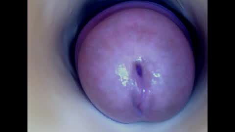 Snapshot of paulainoscente chatting on 06-03-26, 12:24 Paula 18 Aninhos online show from 06-03-26, 12:24