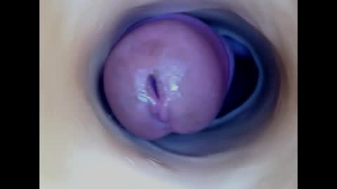 Snapshot of paulainoscente chatting on 06-07-26, 11:30 Paula 18 Aninhos online show from 06-07-26, 11:30