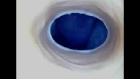 Snapshot of paulainoscente chatting on 06-14-26, 02:24 Paula 18 Aninhos online show from 06-14-26, 02:24