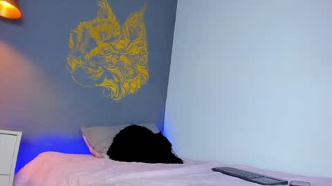 Paulina online show from 12-02-24, 08:00