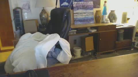 Snapshot of paulleroy chatting on 01-25-25, 01:43 paulleroy online show from 01-25-25, 01:43