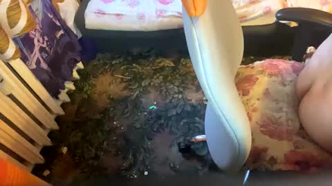 Snapshot of pawelmajster3 chatting on 10-18-25, 03:35 pawelmajster3 online show from 10-18-25, 03:35