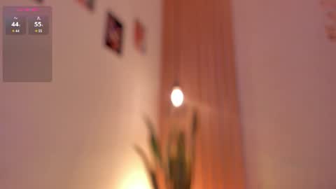 Snapshot of pawggirl18 chatting on 06-19-26, 01:48 Dani online show from 06-19-26, 01:48