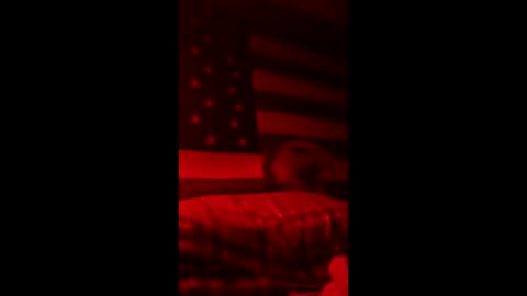 Snapshot of pbtalentscout chatting on 03-15-26, 04:40 pbtalentscout online show from 03-15-26, 04:40