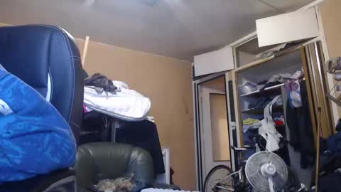 pc8474408 online show from 03-01-26, 05:04