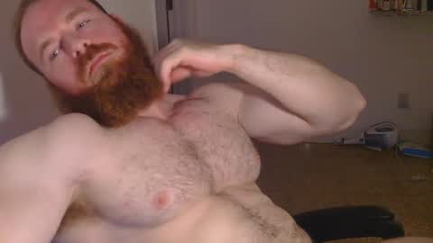 Pec inspector online show from 01-30-25, 03:55