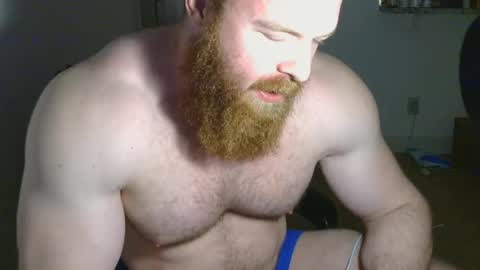 Pec inspector online show from 02-14-25, 05:41