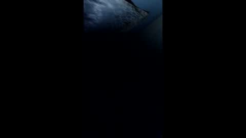 pedrjhon982 online show from 03-23-26, 02:04
