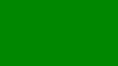 pedro________8 online show from 03-26-26, 12:55