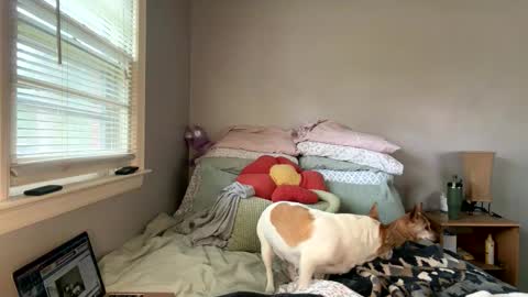 pegggggysue69 online show from 03-20-26, 07:30