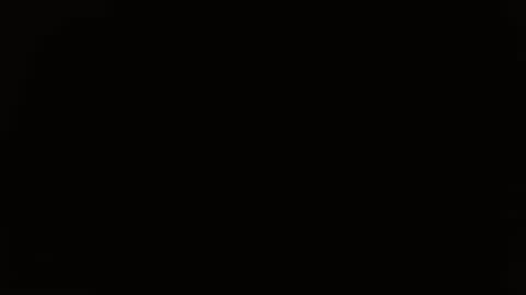 Snapshot of pepitt45 chatting on 10-21-25, 01:28 Megan online show from 10-21-25, 01:28