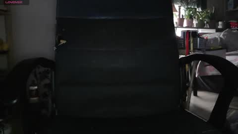 peregrintpelfox online show from 02-04-26, 09:04