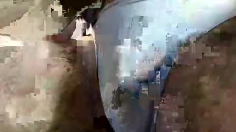 perfectFTM online show from 04-03-26, 06:33