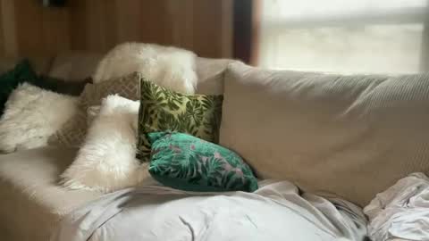 Snapshot of perfectnips742 chatting on 09-17-25, 04:08 Nelly online show from 09-17-25, 04:08