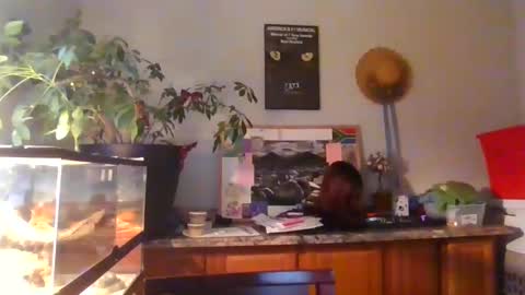 Perinne50 online show from 12-16-24, 09:20