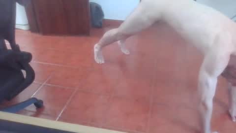 peter_coat online show from 07-01-26, 12:40