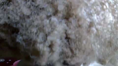 Caramel online show from 11-05-25, 11:05