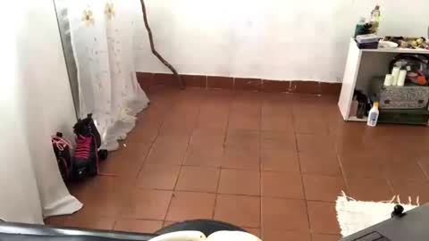 Snapshot of petitecurlybrunette chatting on 04-15-26, 04:36 Mlian online show from 04-15-26, 04:36