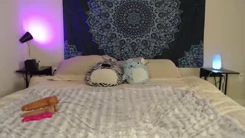 Bella online show from 10-31-25, 08:54