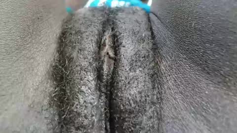 Snapshot of petiteme1 chatting on 01-18-25, 02:03 petiteme1 online show from 01-18-25, 02:03