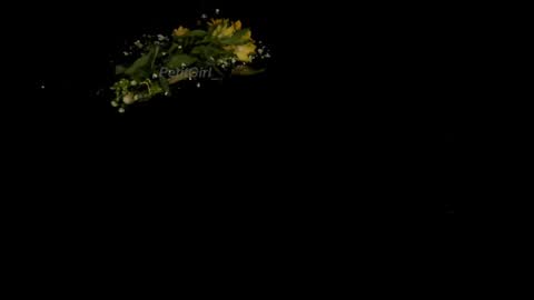 Snapshot of petitgirl_ chatting on 01-01-25, 04:18  J A S S  online show from 01-01-25, 04:18