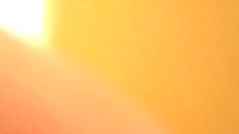 petw45 online show from 02-25-26, 02:21