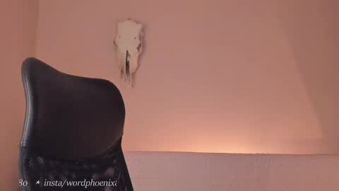 Snapshot of phoenixx_x chatting on 12-28-24, 10:02 phoenixx_x online show from 12-28-24, 10:02