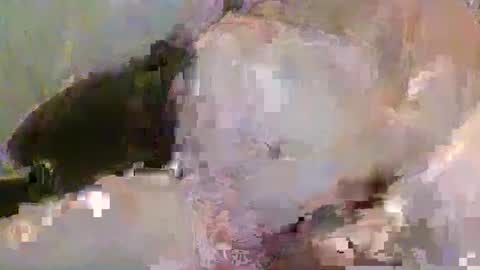 Pickup844 online show from 01-04-25, 08:39