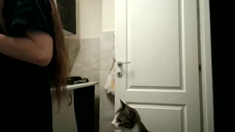 Snapshot of pieceofmoon chatting on 12-15-25, 08:35 Moonie online show from 12-15-25, 08:35