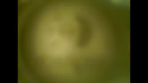 Snapshot of pierrecard1 chatting on 10-13-25, 05:40 pierrecard1 online show from 10-13-25, 05:40