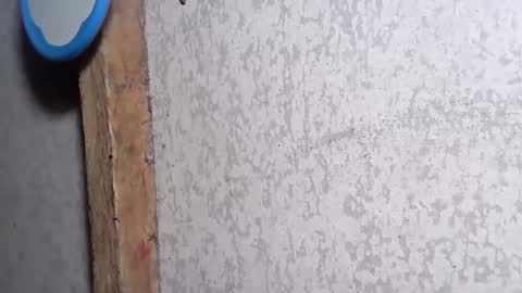 Snapshot of pinay_yummy28 chatting on 12-02-24, 08:22 pinay_yummy28 online show from 12-02-24, 08:22