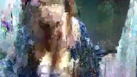 Carol online show from 05-11-26, 03:45