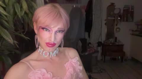 pinkfag online show from 02-19-26, 03:08