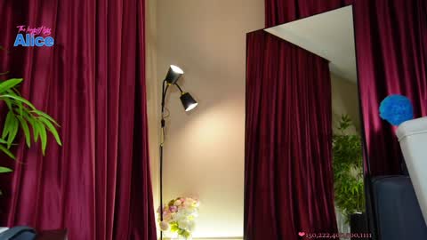 Snapshot of pinkheart_ chatting on 12-13-24, 02:16 Alice   online show from 12-13-24, 02:16