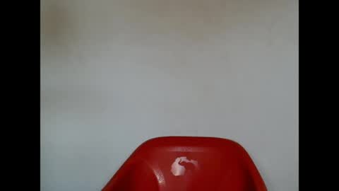 pinkxsugar online show from 04-21-26, 08:31