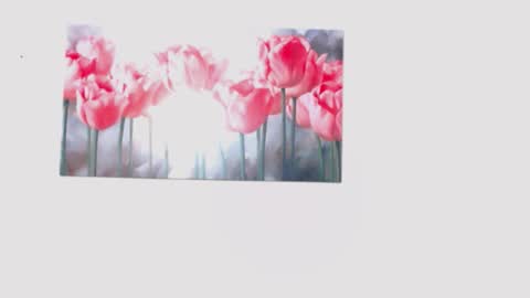 pinky_f00x online show from 03-28-26, 07:57