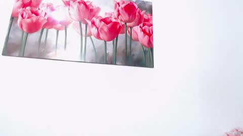 pinky_f00x online show from 04-11-26, 08:02