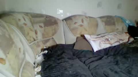 Snapshot of pinochetti chatting on 01-03-25, 12:43 Incubus online show from 01-03-25, 12:43