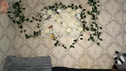 Incubus online show from 02-17-26, 12:34