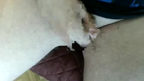 Snapshot of pippo2704 chatting on 01-26-25, 03:47 pippo online show from 01-26-25, 03:47