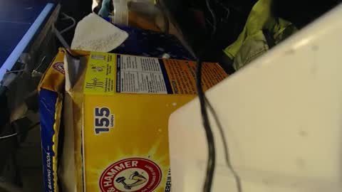 Snapshot of pisanobear chatting on 02-07-26, 10:13 Pisanobear Daddy loose open HairyHole poppers toys online show from 02-07-26, 10:13