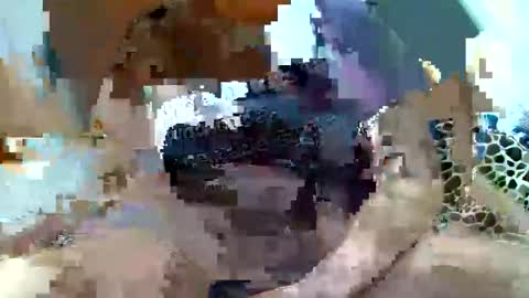 Snapshot of pislezg1 chatting on 02-07-25, 11:45 pislezg1 online show from 02-07-25, 11:45