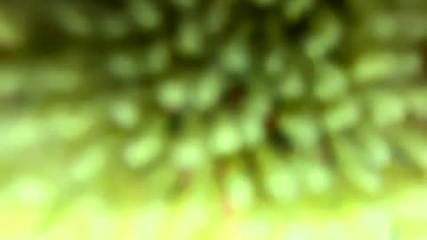 Mike online show from 02-04-26, 09:09