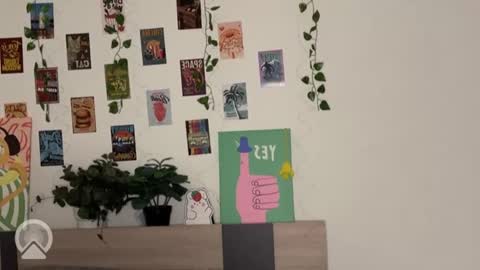 Daryl  online show from 01-18-26, 03:38