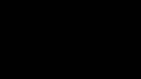 pjp34 online show from 04-22-26, 09:27