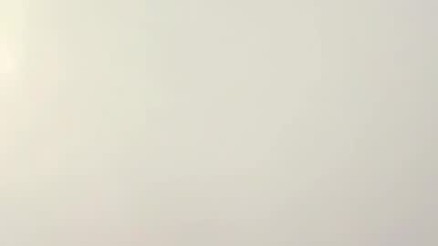 PeggedBiGuy online show from 02-12-26, 08:53