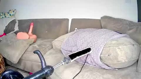 PeggedBiGuy online show from 04-25-26, 09:23