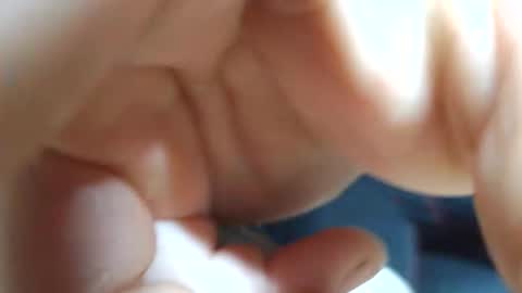 planta722 online show from 04-04-26, 07:28