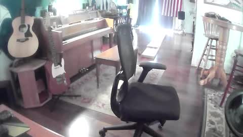 playerpleasure online show from 05-28-26, 05:54