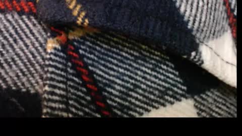 Snapshot of pllkgh45ymn chatting on 09-10-25, 04:40 pllkgh45ymn online show from 09-10-25, 04:40